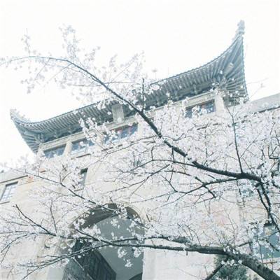 单机游戏豪华曹魏传下载
